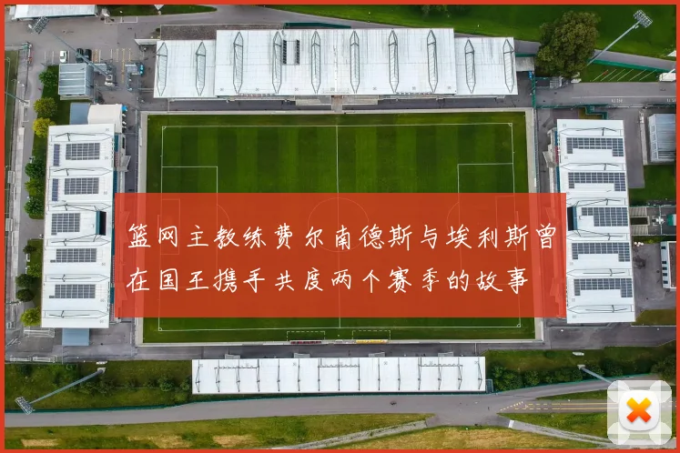 篮网主教练费尔南德斯与埃利斯曾在国王携手共度两个赛季的故事