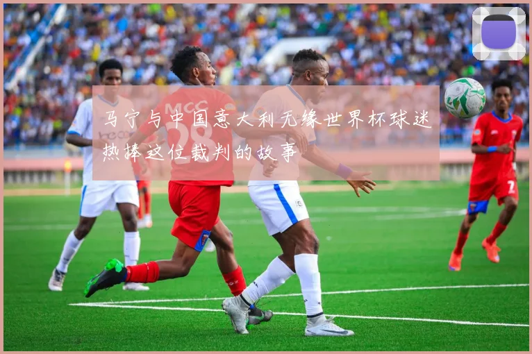 马宁与中国意大利无缘世界杯球迷热捧这位裁判的故事