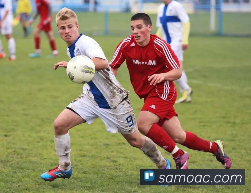 APP界面展示